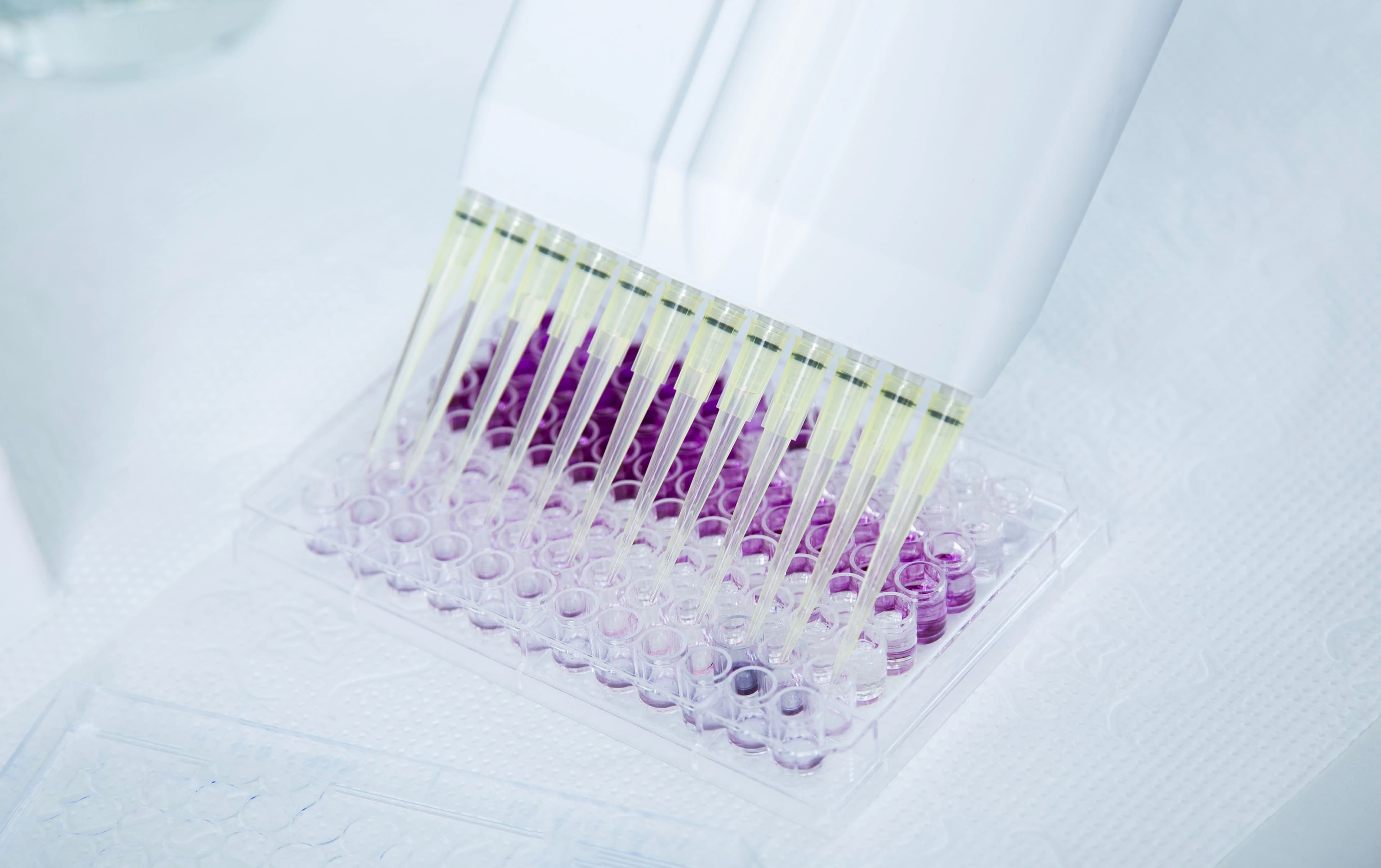 RT-PCR