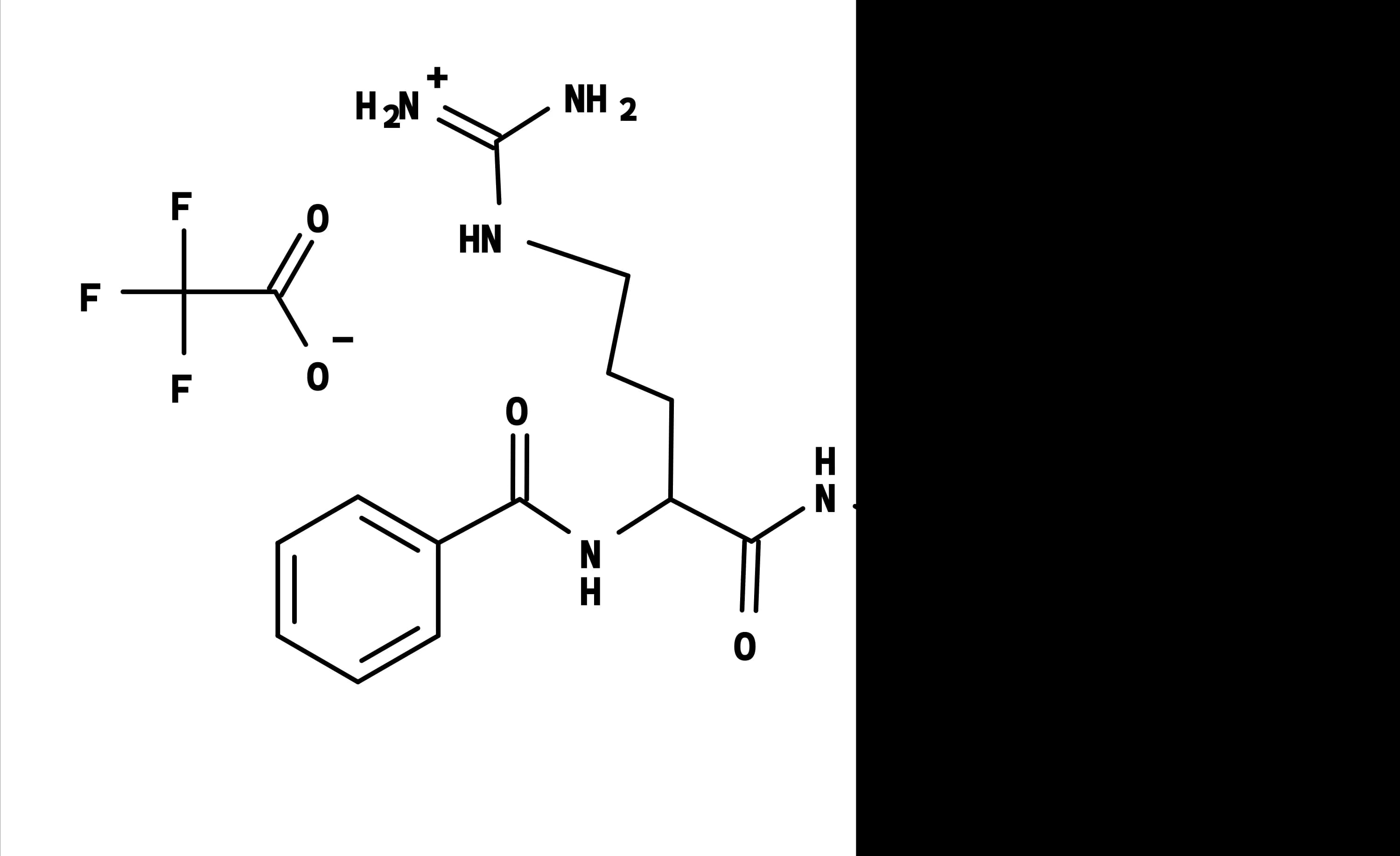Benzoyl-Arg-AMC
