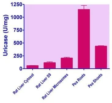 EnzyFluo™ Uricase Assay Kit