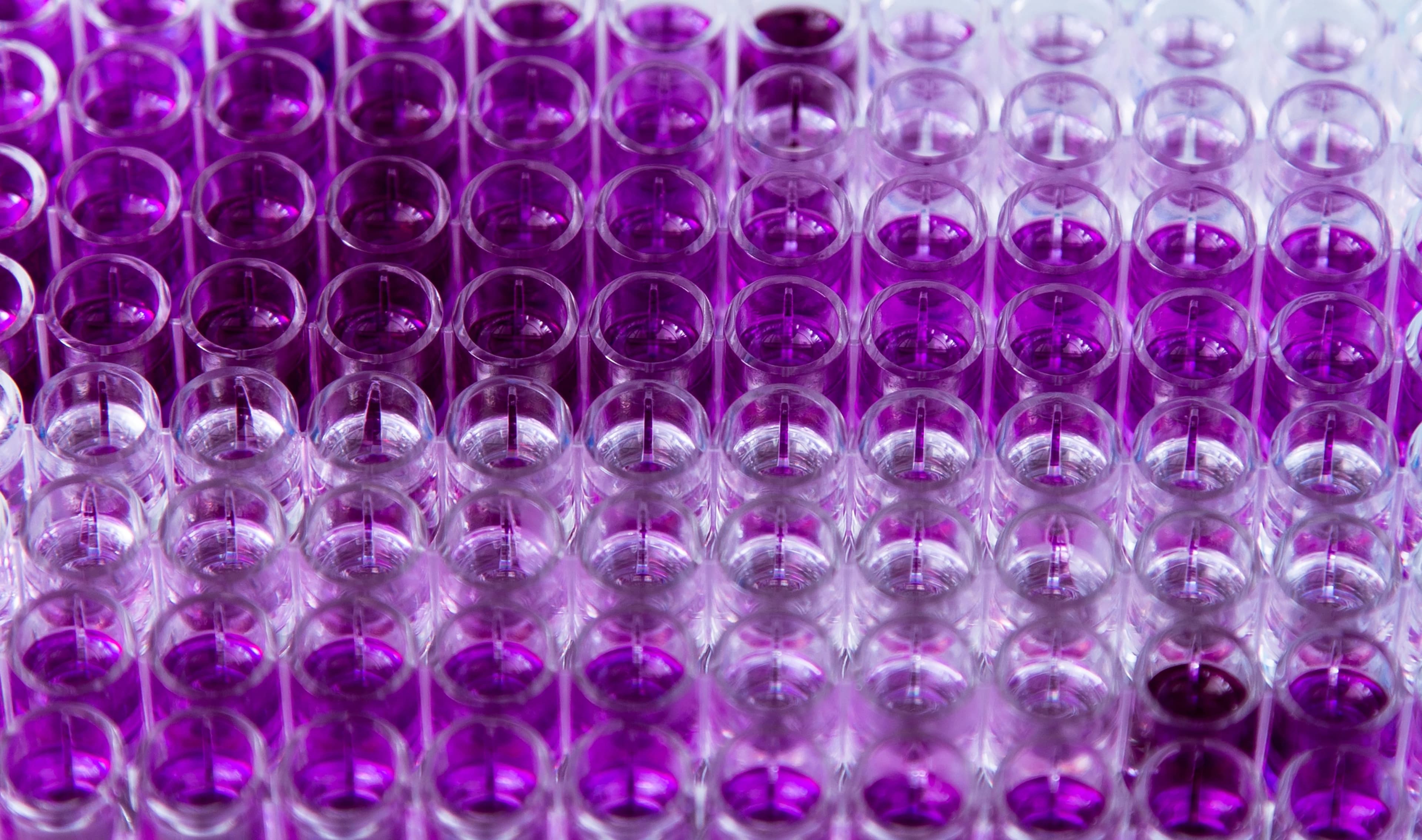 What Is an ELISA Kit? Complete Guide for Researchers